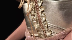 'Cindy loves getting ass&#x1F351;-fucked while chain-smoking'