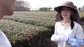 Meet 50-something, buxom broad flaunting curves, flaunts flexibility on rural farm labor