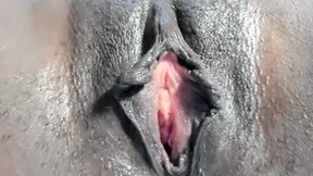 Vibrating Vixen Flicks Her Wicked Whip into Oiling Orgasmic Delights, Alone but Not Lonely Vibrating Vixen Flicks Her Wicked Whip into Oiling Orgasmic Delights, Alone but Not Lonely