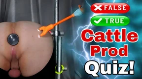 Training Zero Femdom Bondage BDSM Games Quiz Slave Real Homemade Electric Amateur Couple Wife Milf Stepmom Female Domination FLR Training Zero Femdom Bondage BDSM Games Quiz Slave Real Homemade Electric Amateur Couple Wife Milf Stepmom Female Domination FLR