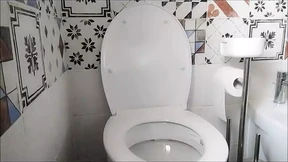 A Snack Full of Brown Right on the Toilet
