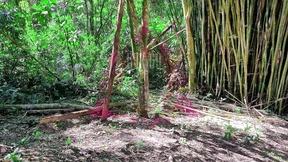 Girl skips class on school trip to suck teacher in the forest