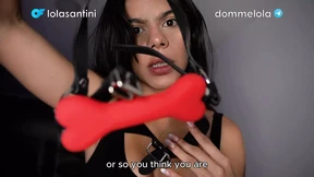Want to clean my boots, little pup? Want to clean my boots, little pup?