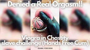 Denial高潮! Slave Takes Viagra Chained, Hands-Free Release Denial高潮! Slave Takes Viagra Chained, Hands-Free Release