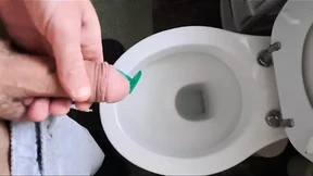 Pissed And Wired: Toilets Galore Pissed And Wired: Toilets Galore