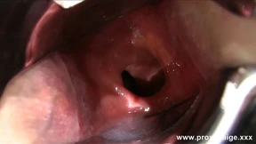 Proxy Paige, Glass Plug and Xo Speculum Proxy Paige, Glass Plug and Xo Speculum