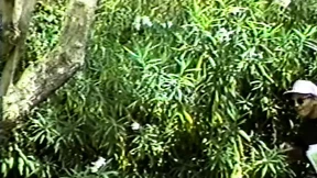 Bored Beauty Decides To Finger Herself Outdoor Near A Pool, Finds Unexpected Company Bored Beauty Decides To Finger Herself Outdoor Near A Pool, Finds Unexpected Company