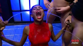Hardcore Anal Party Hardcore Anal Party