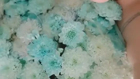 Bouquet of Flowers Bouquet of Flowers