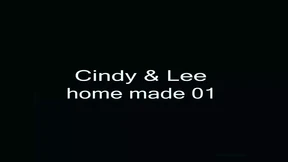 Cindy and Lee S First Homemade Submission