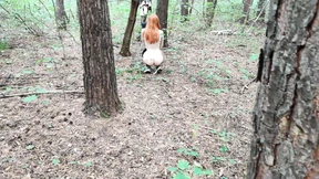 beautiful chick caught in the woods beautiful chick caught in the woods