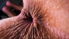 THE VERY BEST HOT MOMENTS OF GIGIOFICIAL PART 1