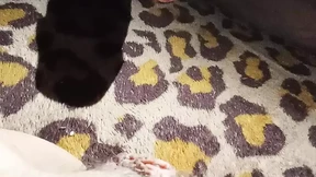 New toy for her ideal discovery , special offer