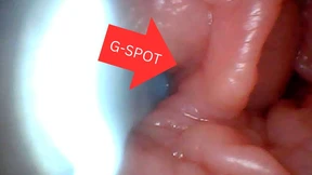 First time: An endoscope reveals the G-spot up close - without mountingl First time: An endoscope reveals the G-spot up close - without mountingl