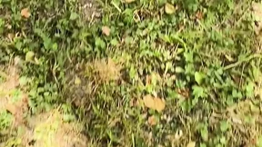 Big Cumshot on My Tits