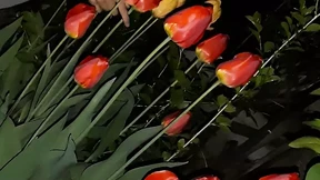 I wooed my neighbor with my beautiful blooms, and then I added some spice to our encounter by giving her a steamy peck I wooed my neighbor with my beautiful blooms, and then I added some spice to our encounter by giving her a steamy peck