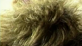 Vintage pussy🌮️ party that'll leave you salivating like a slob Vintage pussy🌮️ party that'll leave you salivating like a slob