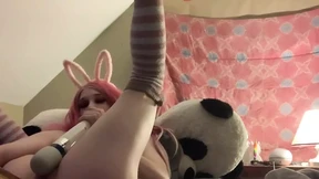 The Easter Bunny's Humping Habits Exposed