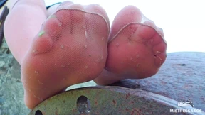Touche de coeur in lors de s'arrêter les pieds jaunes et lors du couper à côté sur un jardin public Touche de coeur in lors de s'arrêter les pieds jaunes et lors du couper à côté sur un jardin public