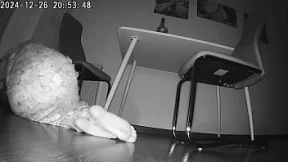 Fucked by my best man behind my screaming wife's ass&#x1F351;