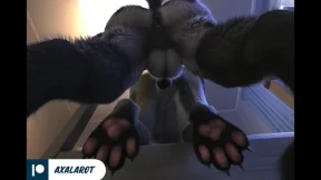 Shaggy beasts smash their hairy humps for massive cock🌭 until ejaculation Shaggy beasts smash their hairy humps for massive cock🌭 until ejaculation