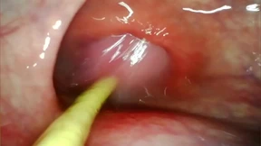 Unleashed Anal👌 Intimacy: Deep Inside Her with My Massive Shaft and Profound射入 Unleashed Anal👌 Intimacy: Deep Inside Her with My Massive Shaft and Profound射入