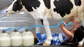 HOW MUCH MILK I CAN TO PUMP OUT HOW MUCH MILK I CAN TO PUMP OUT