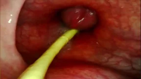 EXTREME ANAL POV CAMERA INSIDE HER ASSHOLE AS I POUND HER WITH MY BIG COCK AND CUM DEEP INSIDE EXTREME ANAL POV CAMERA INSIDE HER ASSHOLE AS I POUND HER WITH MY BIG COCK AND CUM DEEP INSIDE