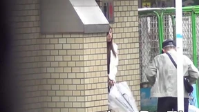 Voyeur video of Japanese girls pissing in public toilet