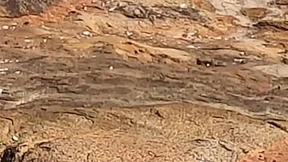 A Beach Banged Babe Gets Group Grope & Gangbanged on Rocks Near Water's Edge A Beach Banged Babe Gets Group Grope & Gangbanged on Rocks Near Water's Edge