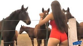 Mature Latina Seductress - Juicy Booty Ride!
