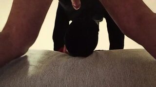 Preview bound and hooded with pantyhose heels, i have my mouth fucked for 20 minutes oral creampie