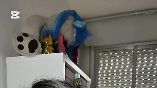 Spoiled Latina sucks your dick to get spoiled by hunk even more