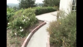 Wild Princess Loves Hot Queen