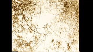 On the Grass Burning Foliage