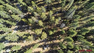 Slut Hunt : Ravyn Gets Filled with Sperm