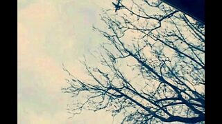 Vintage Porn of a Fat Housewife with Hairy Pussy Fucked by a Big Cock in the Pool