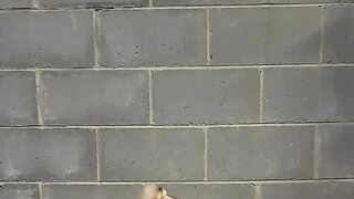 Nude Workout, Bicep Curls and Dry Humping My Foam Roller 