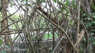 Mature bourgeoise shows us around her house and her ass