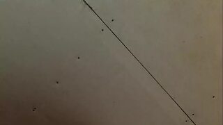 Bert's Got His Big Cock🌭 Plugged into My Anus