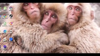 Evangelion Hentai - Misatothreesome Blowjob and Fuck - Anime Manga Japanese Asian Porn