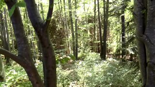 Amateur young couple love outdoor fuck in the forest