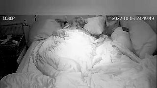 Woke up to a wet dream and had to cum