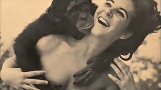 Dark Lanterns XXX: Unleashed Carnal Pleasures