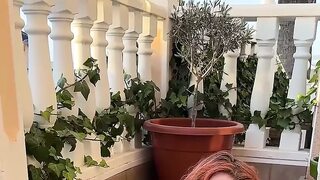 100th Anniversary Pee Compilation!