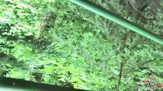 Stop Banging! Big Tits Ho Michala Gang-Fucked Outdoors