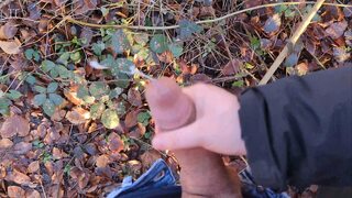 Naughty😈 Handjob Amidst Hikers: Close Call Explicit Pleasure