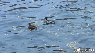 Passionate Young Pair Engaged in Intimate Act