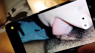 Three Dorm Roommates Have Nasty Fucking