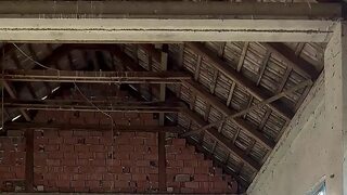 I get fisted and facialized in broad daylight, and loving